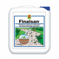 Finalsan