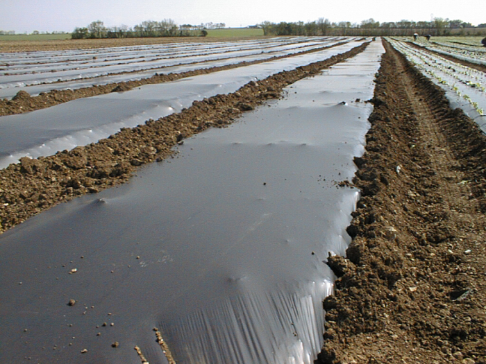 RONDELLES POUR BACHE DE PAILLAGE X10 NOIRES